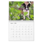 Mehr Corgis-(mit Blogs) Minikalender Kalender (Mär 2026)