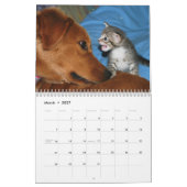 Mehr Kätzchen! Kalender (Mär 2027)