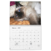 Mehr Kätzchen! Kalender (Feb 2027)