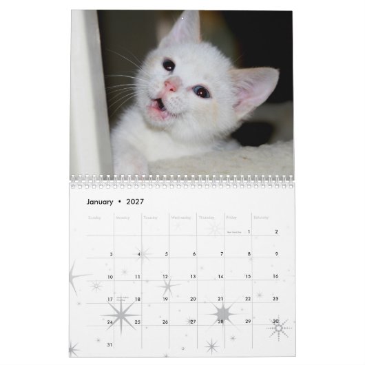 Mehr Kätzchen! Kalender (Jan 2027)