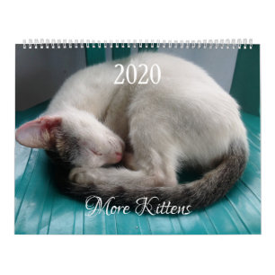 Mehr Kätzchen Wandkalender - HAMbyWG