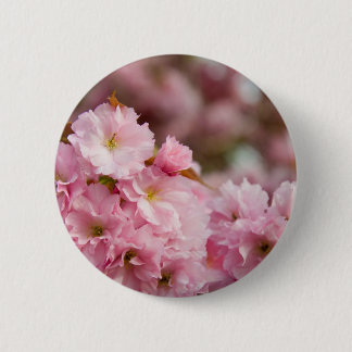 Mehr Kirschblüte-Blüten Button