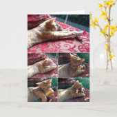 Mehr Medikamente bitte Karte (Gelbe Blume)