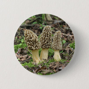 Mehr Morcheln Button