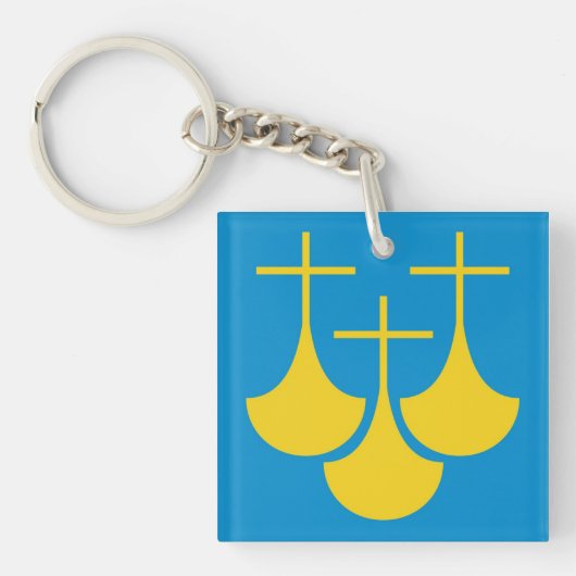 Mehr og Romsdal flagge Norwegen Region Landkreis Schlüsselanhänger (Vorderseite)