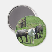 Mehr Pferde! Magnet (Vorderseite/Rückseite)