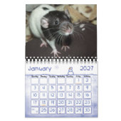 Mehr Ratties! (kleiner) Kalender (Jan 2027)
