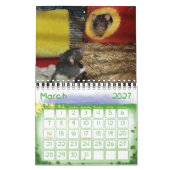 Mehr Ratties! (kleiner) Kalender (Mär 2027)