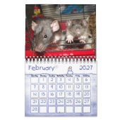 Mehr Ratties! (kleiner) Kalender (Feb 2027)