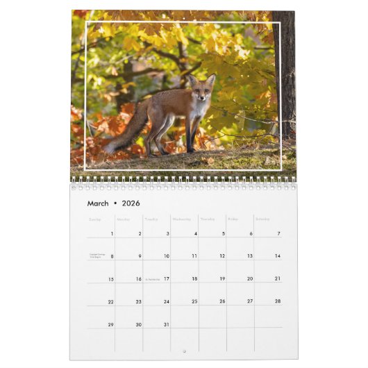 Mehr rote Füchse im Herbstkalender Kalender (Mär 2026)