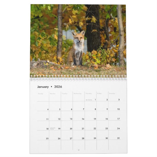 Mehr rote Füchse im Herbstkalender Kalender (Jan 2026)