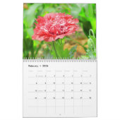 Mehr Szenen aus dem Blumengarten Kalender (Feb 2026)