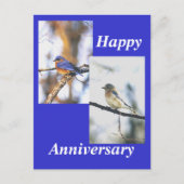 mehr truman, mrs truman, Happy, Anniversary Postkarte (Vorderseite)
