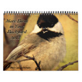 Mehr Vögel in Ihrem Hinterhof-Kalender 2013 Kalender (Titelbild)