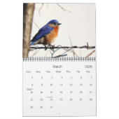 Mehr Vögel in Ihrem Hinterhof-Kalender 2013 Kalender (Mär 2026)