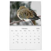 Mehr Vögel in Ihrem Hinterhof-Kalender 2013 Kalender (Feb 2026)