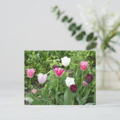 Mehrere Farben Tulips DIY Postkarte (Stehend Vorderseite)