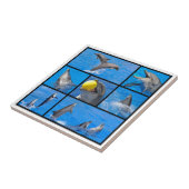 Mehrere Fotos Delphine Fliese (Seite)