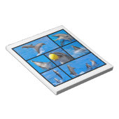 Mehrere Fotos Delphine Notizblock (angewinkelt)