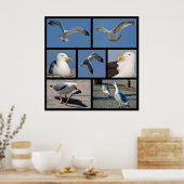 Mehrere Fotos Seeteufel Poster (Küche)