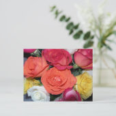 Mehrere Rose Postkarte (Stehend Vorderseite)