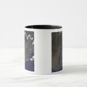 Mehrere Schwaden blasen in Richtung Südsüdwesten Tasse (Zentrum)