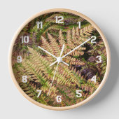 Mehrfarbenwald Ferns Botanisch Uhr (Vorderseite)