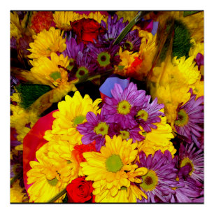 Mehrfarbig Daisy Blume Mix Poster