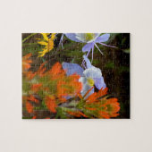 mehrfarbig puzzle (Horizontal)