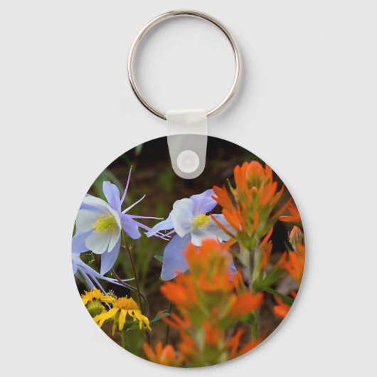 mehrfarbig schlüsselanhänger (Vorderseite)