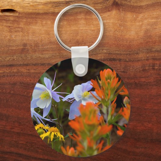 mehrfarbig schlüsselanhänger (Vorderseite)