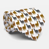 Mehrfarbige Alpaka-Krawatte Krawatte (Gerollt)