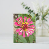 Mehrfarbige Blume * Postkarte (Stehend Vorderseite)