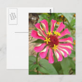 Mehrfarbige Blume * Postkarte (Vorne/Hinten)