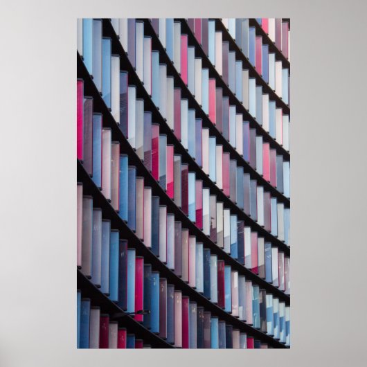 mehrfarbige Bücher im Rack Poster (Vorne)