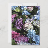 Mehrfarbige Hydrangea-Blume Geburtstagsparty Einladung (Rückseite)