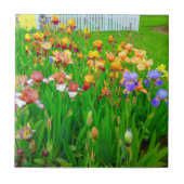 Mehrfarbige Iris Blume Patch Tile Fliese (Vorderseite)