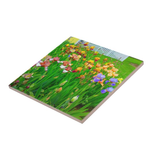 Mehrfarbige Iris Blume Patch Tile Fliese (Seite)