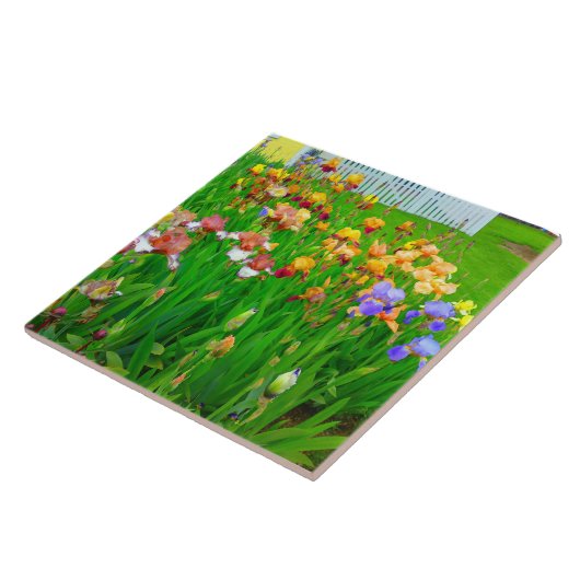 Mehrfarbige Iris Blume Patch Tile Fliese (Seite)