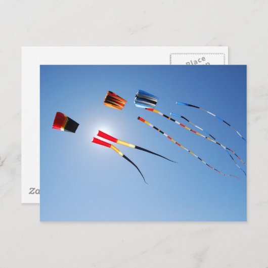 Mehrfarbige lange Schwänze Postkarte (Vorne/Hinten)