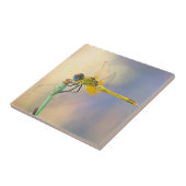 Mehrfarbige Libelle Fliese (Seite)