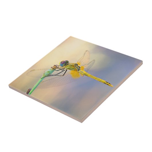 Mehrfarbige Libelle Fliese (Seite)