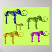 Mehrfarbige Mammoth-Skelette Poster (Vorne)