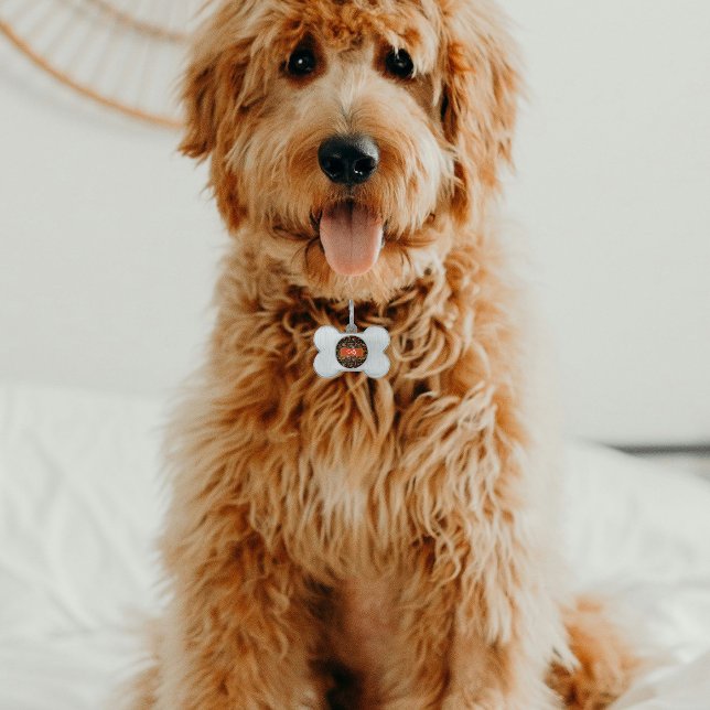 Mehrfarbige Monarchschmetterlinge Schwarz Tiermarke (Von Creator hochgeladen)