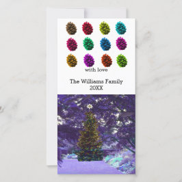 Mehrfarbige Pine Cones-Fotokarte Feiertagskarte