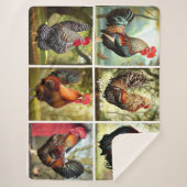 mehrfarbige Rooster Sherpadecke (Vorderseite)