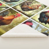 mehrfarbige Rooster Sherpadecke (3/4)