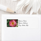 mehrfarbige Rose (Insitu)