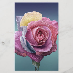 mehrfarbige Rose Briefpapier
