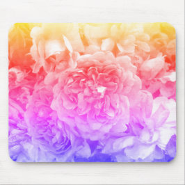 mehrfarbige Rose, gelb, rosa, Lila Mousepad